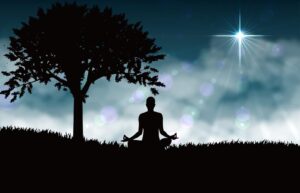 Daily Yoga 