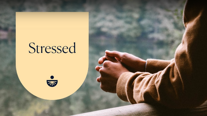 Stressed: A Quick Fix Meditation